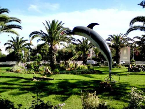 hotel delphin habi monastir-jardin